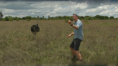 Freeks Wilde Wereld | Knokploeg met veren!